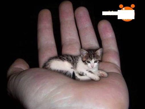 post-4-139145182273_thumb.jpg