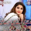 Pakki